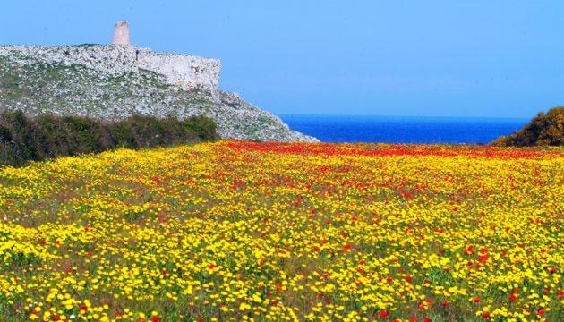 스탠다드 트리플 발코니 룸, Le Stanze Del Sole