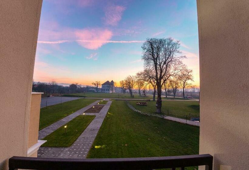 חדר סטנדרט עם מיטת קינג, Cardinal Domeniile Martinutzi