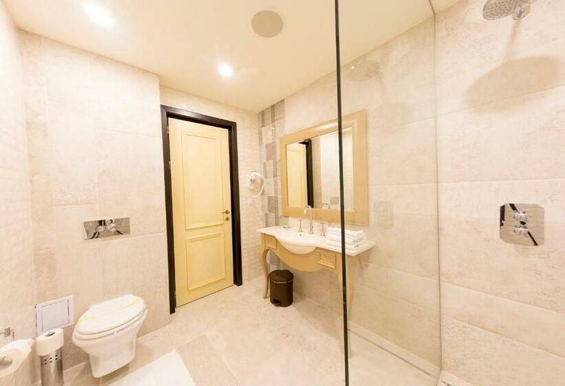 חדר דלוקס, Cardinal Domeniile Martinutzi