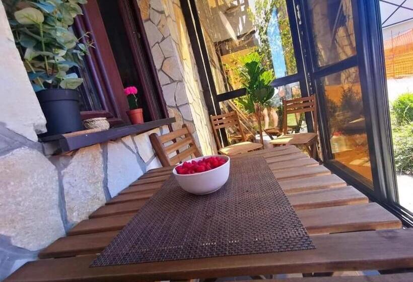 استودیوی سوپریور, Studio Jolly Kop Jana 2