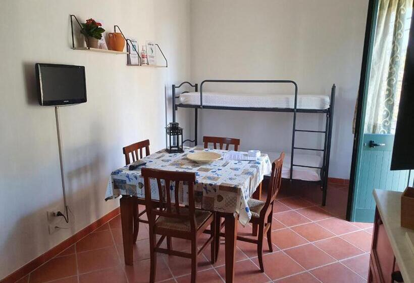 Quarto Quádruplo Estandar, Nicuzza
