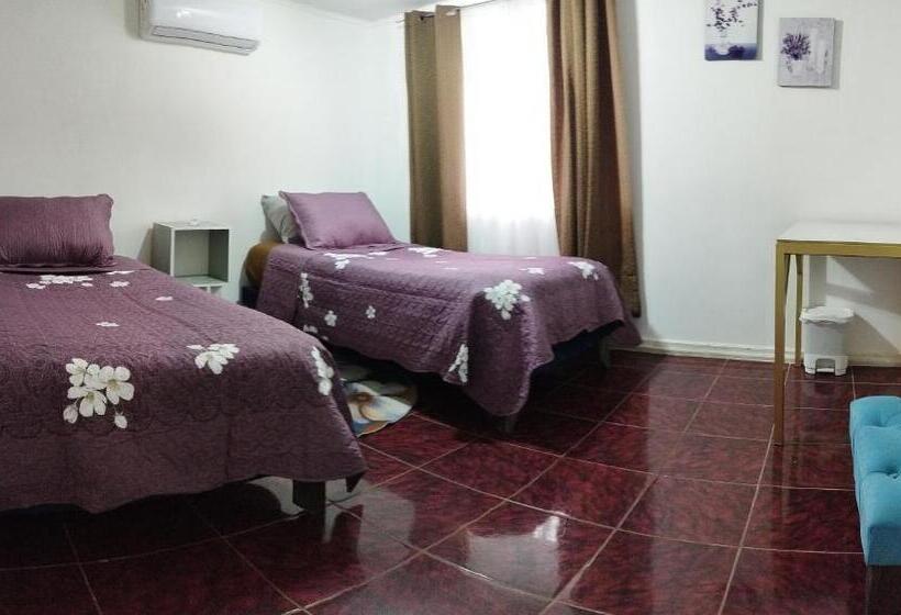 标准间, Shalom_matsofy