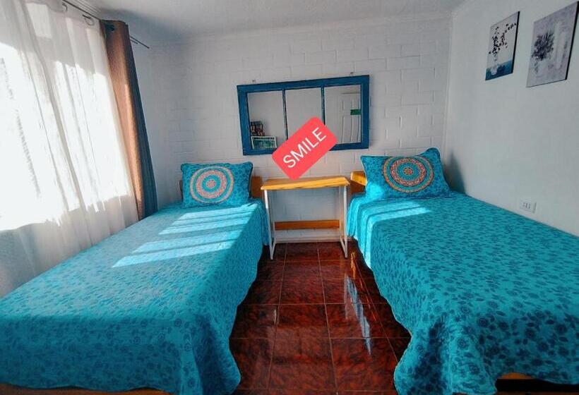 اتاق استاندارد, Shalom_matsofy