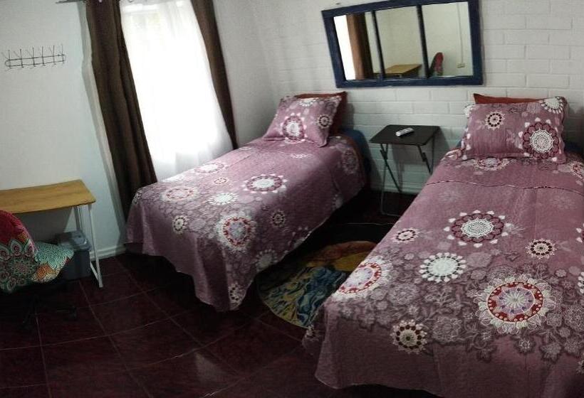 标准间, Shalom_matsofy