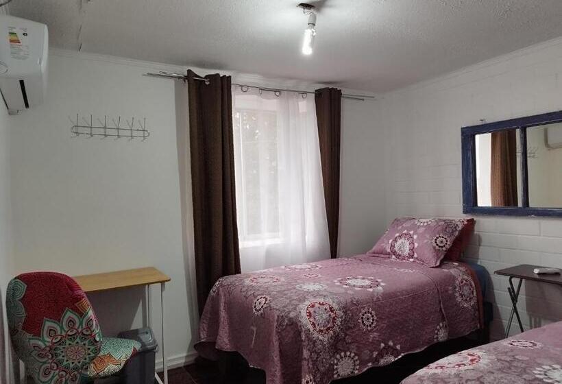 标准间, Shalom_matsofy