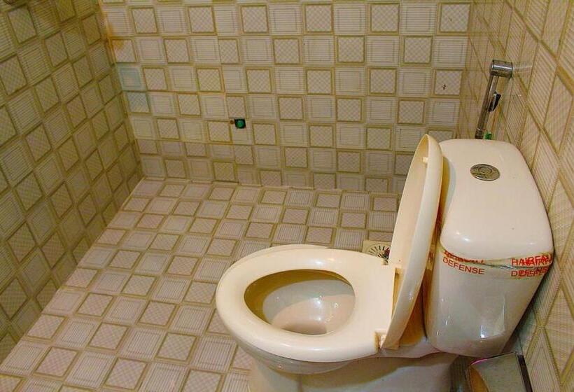 اتاق لوکس, Day In Lahore