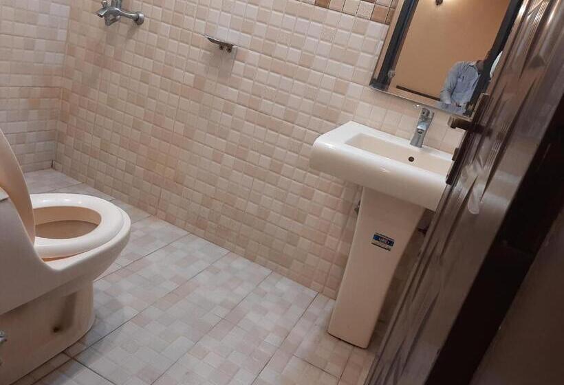 اتاق لوکس یک تخته, Day In Lahore