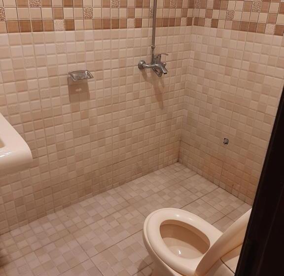 اتاق لوکس یک تخته, Day In Lahore