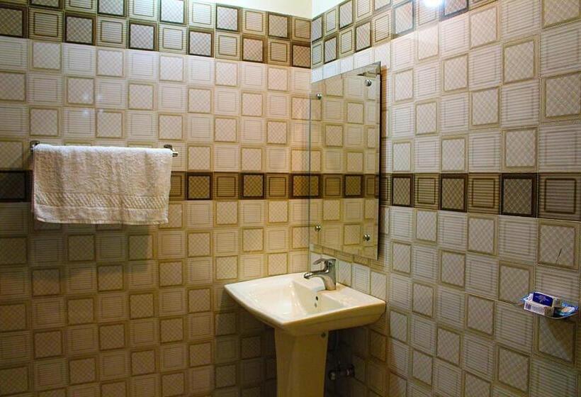 اتاق لوکس خانوادگی, Day In Lahore