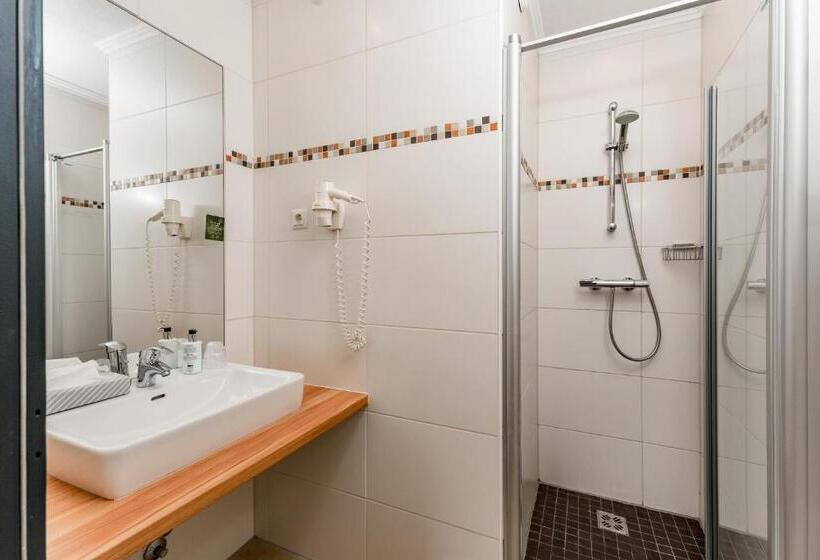 Comfort room with mountain view, Ferienalm Panorama