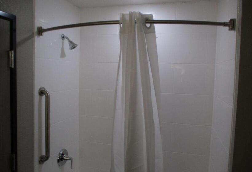 Люкс Адаптированный для Инвалидов, Best Western Plus Mcpherson