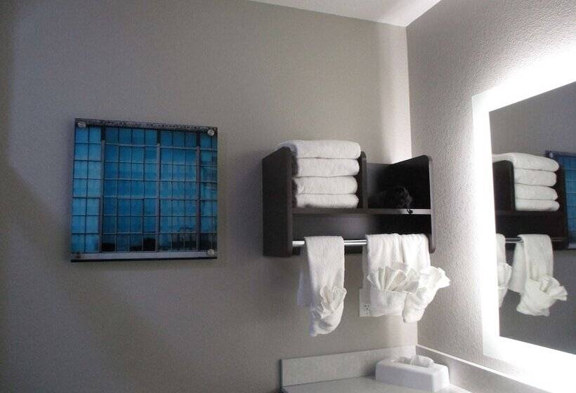 Люкс Адаптированный для Инвалидов, Best Western Plus Mcpherson