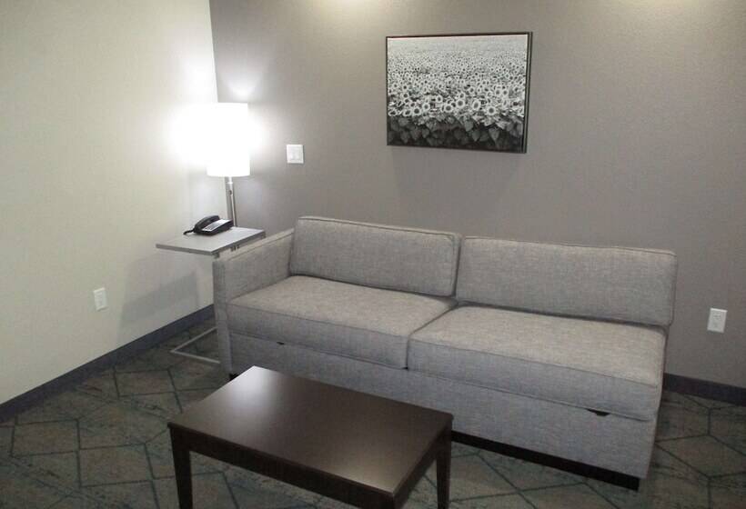 Люкс Адаптированный для Инвалидов, Best Western Plus Mcpherson