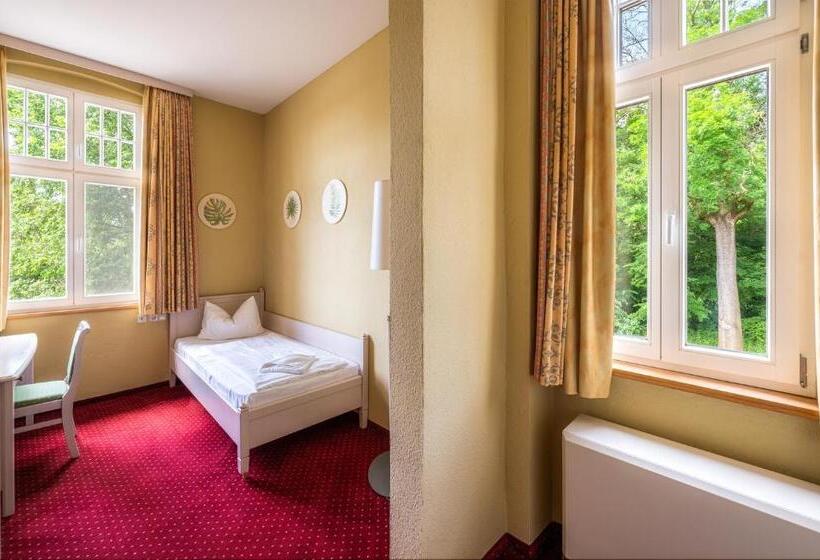 스탠다드 싱글 룸, Elbterrasse Wörlitz