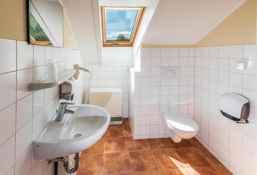 스탠다드 발코니 룸 바다 전망, Elbterrasse Wörlitz