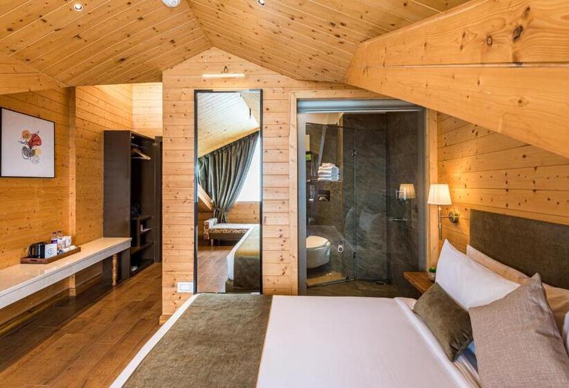 Номер Стандарт Вид на Горы, Udaan Himalayan Suites And Spa
