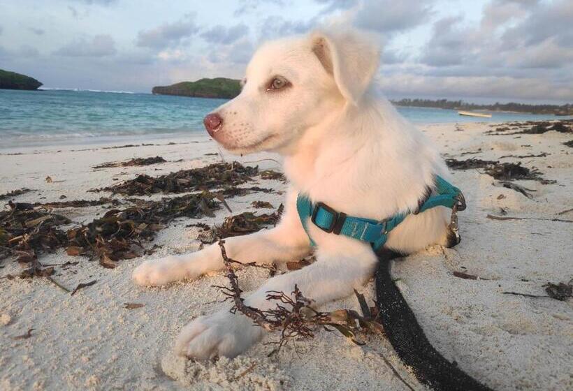 ویلای 1 خوابه, Watamu Sunrise Villa