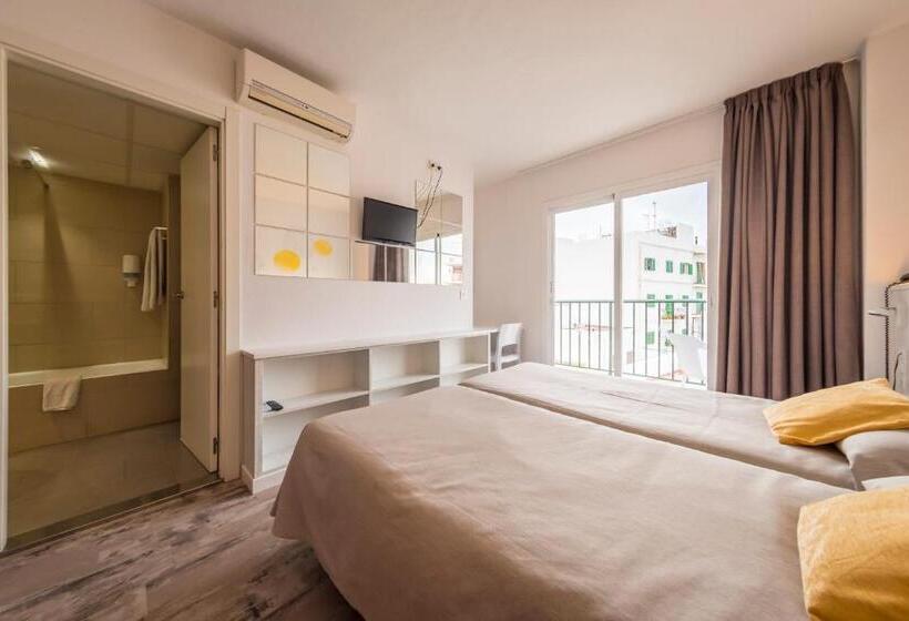 スタンダードルーム, Tarba