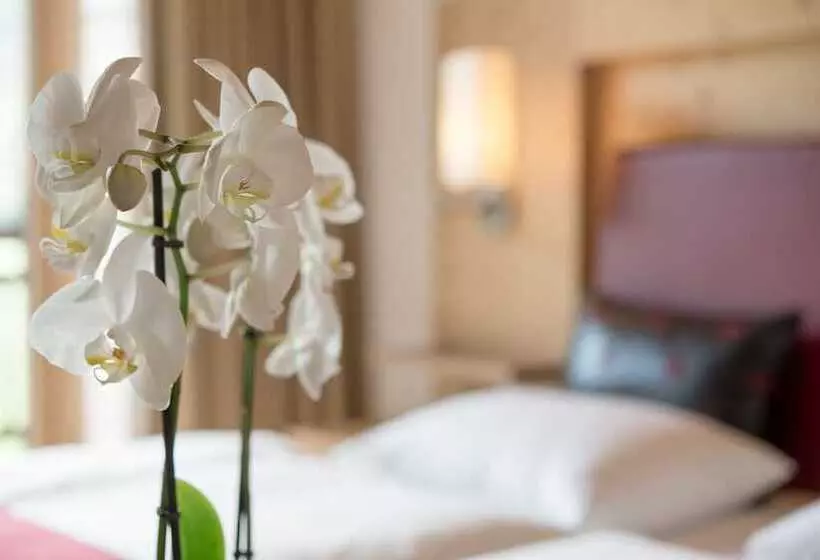 سوئیت جونیور با چشم‌انداز کوهستان, Aqua Dome 4 Sterne Superior Hotel & Tirol Therme Längenfeld