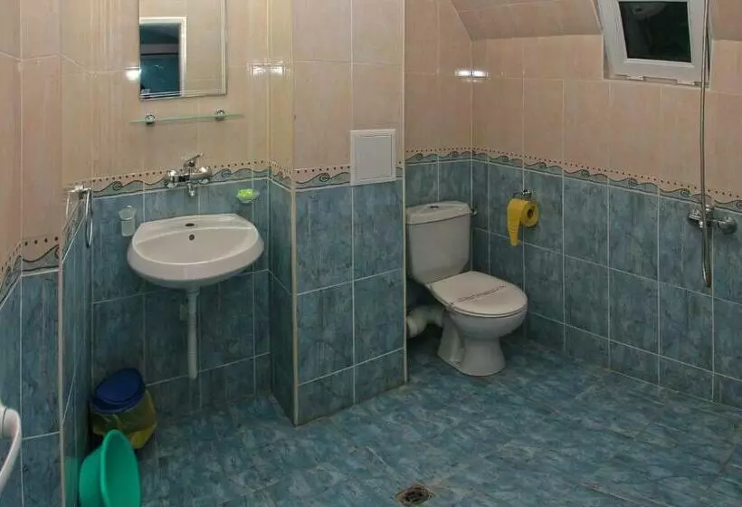 اتاق استاندارد, дироси