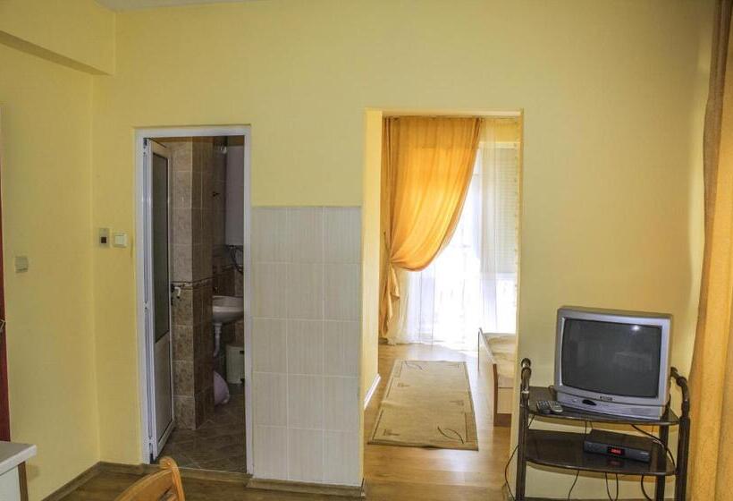 Студио Стандарт с Террасой, дироси