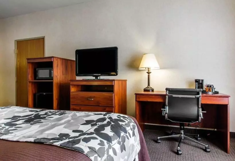 ２ダブルベッドのスタンダードルーム, Sleep Inn & Suites