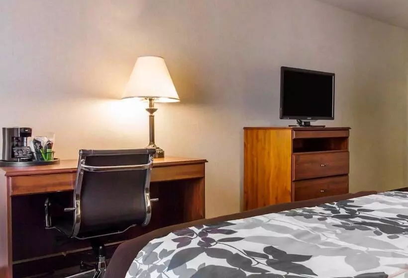 ２ダブルベッドのスタンダードルーム, Sleep Inn & Suites