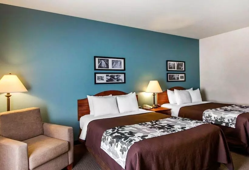 ２ダブルベッドのスタンダードルーム, Sleep Inn & Suites
