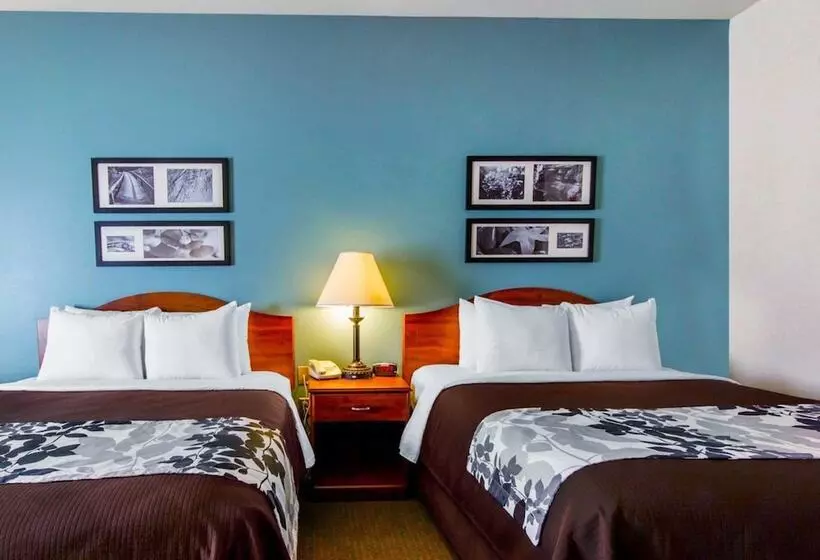 ２ダブルベッドのスタンダードルーム, Sleep Inn & Suites