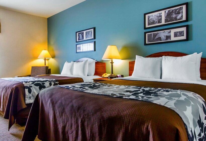 Номер Стандарт 2 Двуспальные Кровати, Sleep Inn & Suites