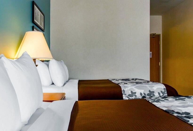 غرفه قياسيه سريرين مزدوجين, Sleep Inn & Suites