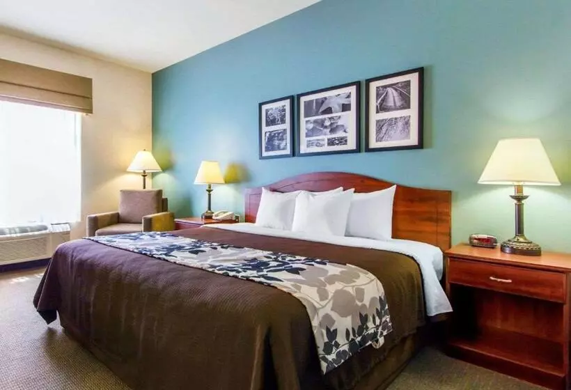 キングサイズベッドのスタンダードルーム, Sleep Inn & Suites