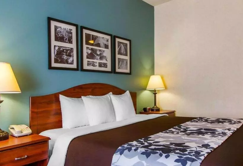 キングサイズベッドのスタンダードルーム, Sleep Inn & Suites