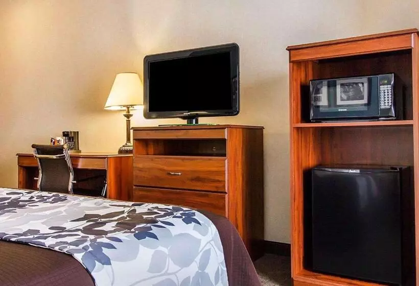 キングサイズベッドのスタンダードルーム, Sleep Inn & Suites