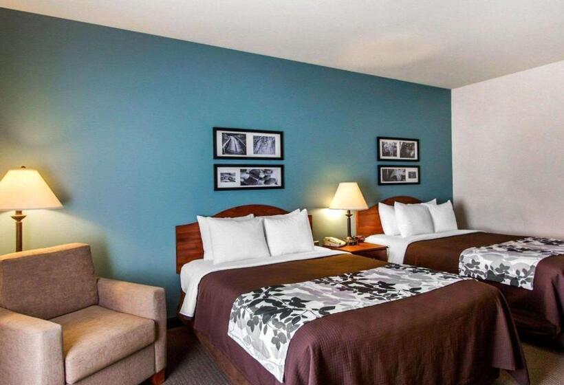غرفه قياسيه سريرين مزدوجين, Sleep Inn & Suites