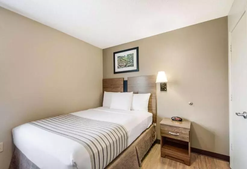 اتاق لوکس, Suburban Studios Sterling  Washington Dulles