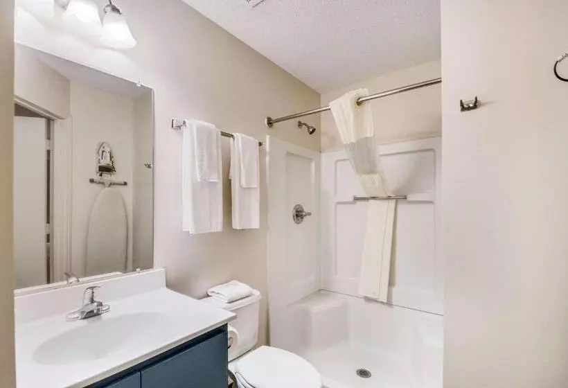 اتاق استاندارد, Suburban Studios Sterling  Washington Dulles