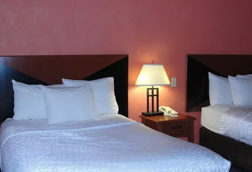 ２ダブルベッドのスタンダードルーム, Surestay Hotel By Best Western Greenville