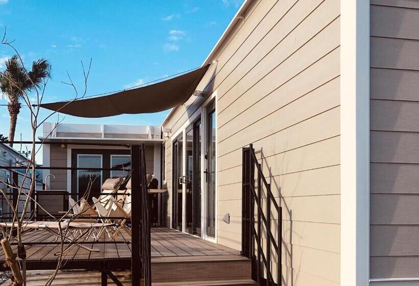 חדר סטנדרט לארבעה, Fukiagehama Field