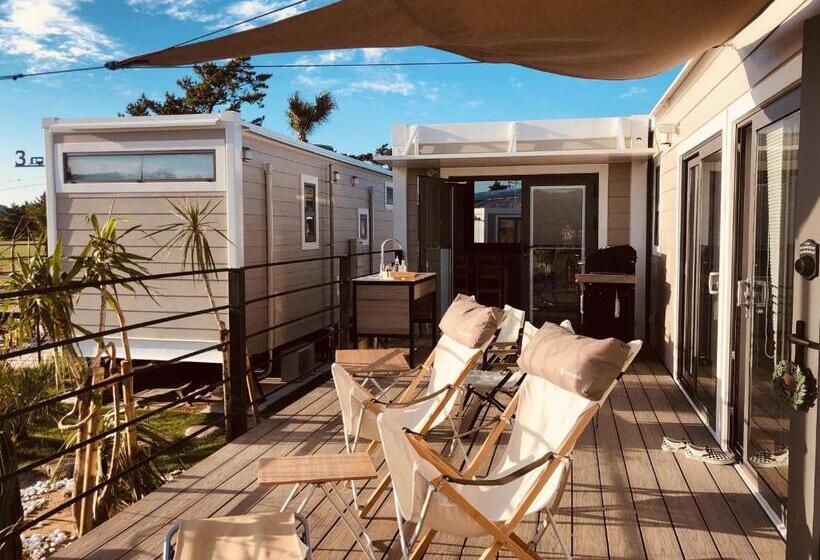 חדר סטנדרט לארבעה, Fukiagehama Field