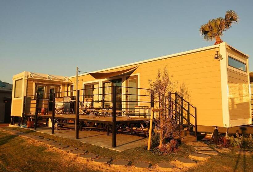 חדר סטנדרט לארבעה, Fukiagehama Field