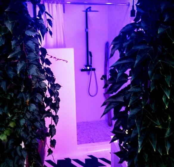 غرفة قياسية, Piano21