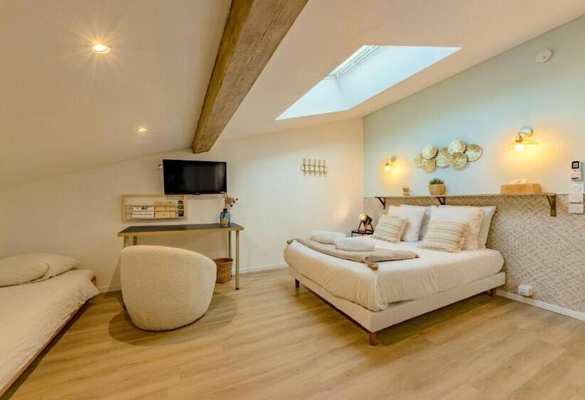 디럭스 룸, L Oliveraie D Eurocentre   Toulouse Nord