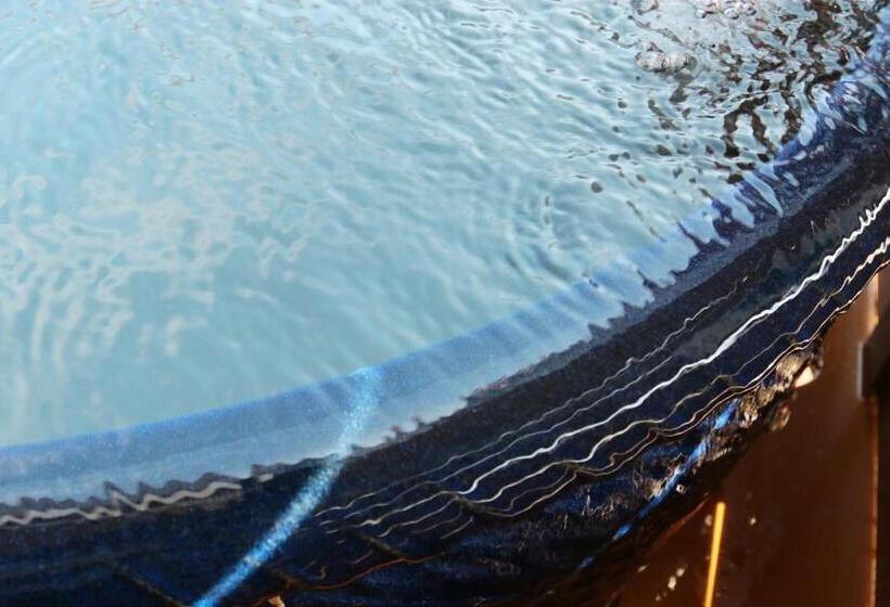 חדר סטנדרט לארבעה, Onosou