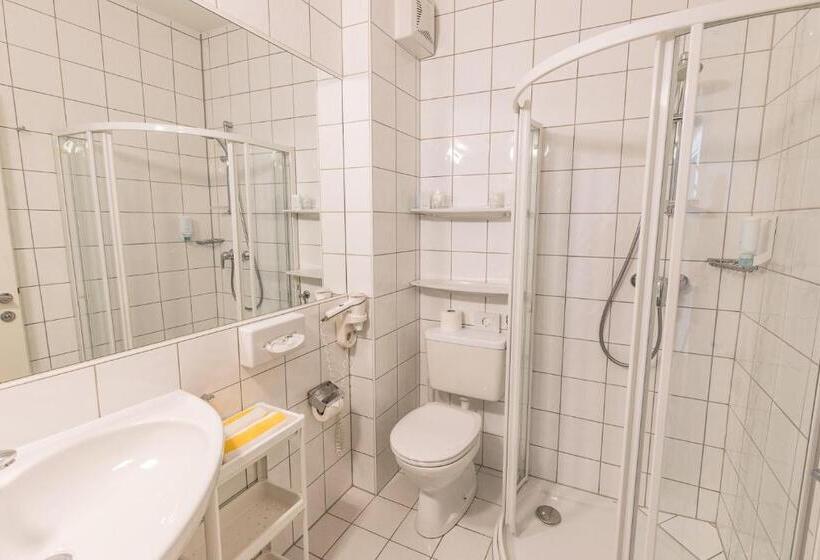 اتاق استاندارد با چشم‌انداز دریاچه, Das Moser   Hotel Garni Am See