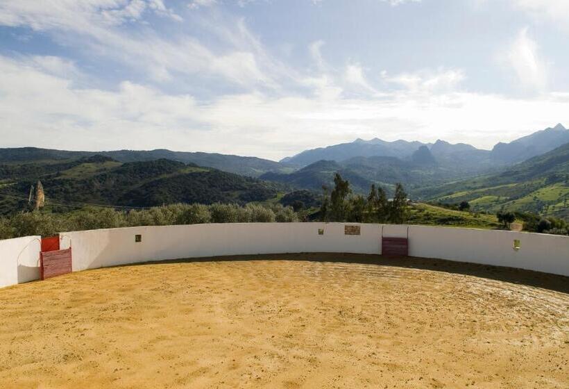 标准三人间, Cortijo Salinas