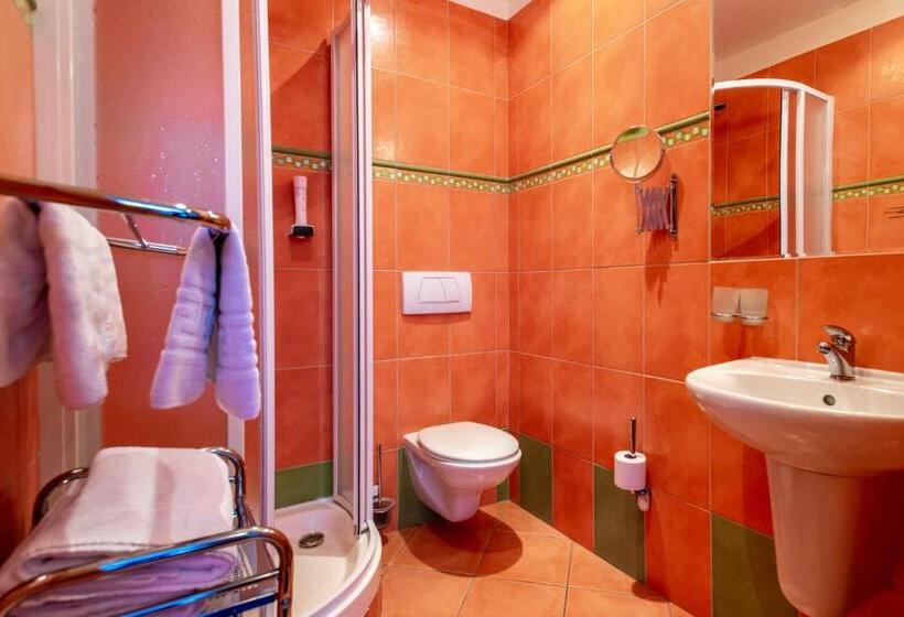 Номер Стандарт, Olympie