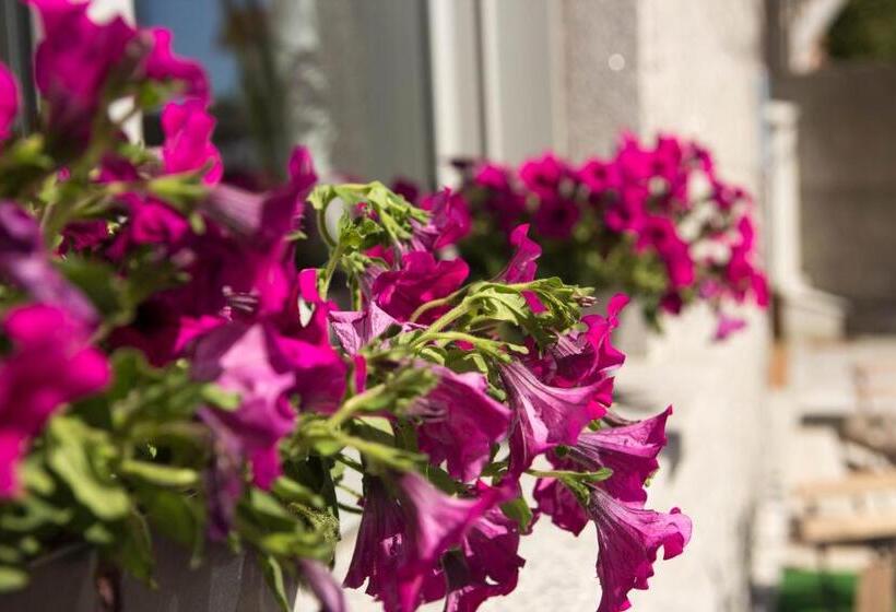 اتاق استاندارد, Pontus Veteris