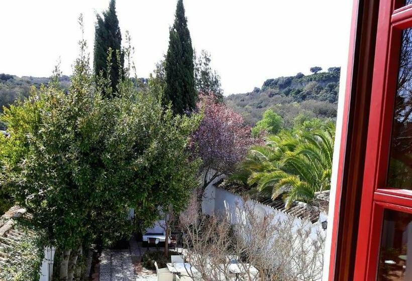 ガーデンビュースタンダードルーム, Cortijo Las Piletas