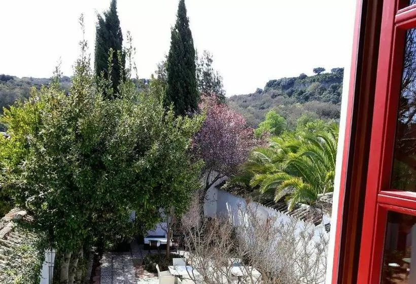 اتاق استاندارد با چشم‌انداز باغ, Cortijo Las Piletas